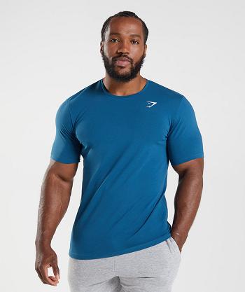 Gymshark Essential T Shirts Herr Blå | SE 3810WNB